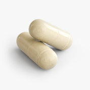 Digestive Support